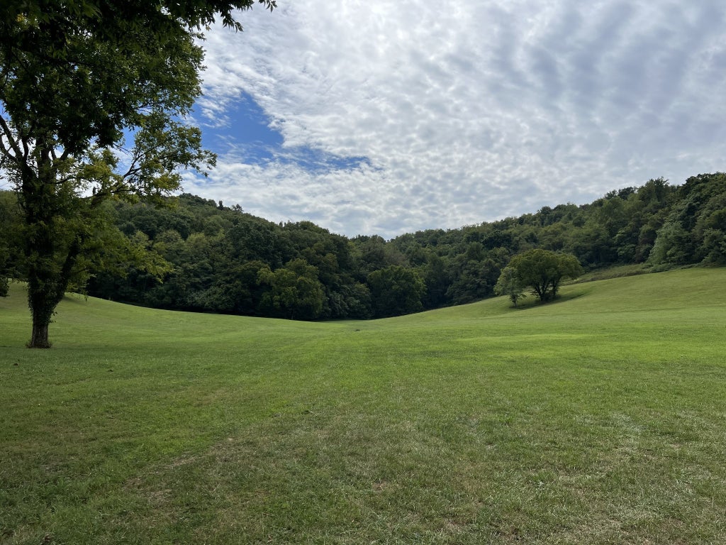 2297 Allisona Rd, Eagleville