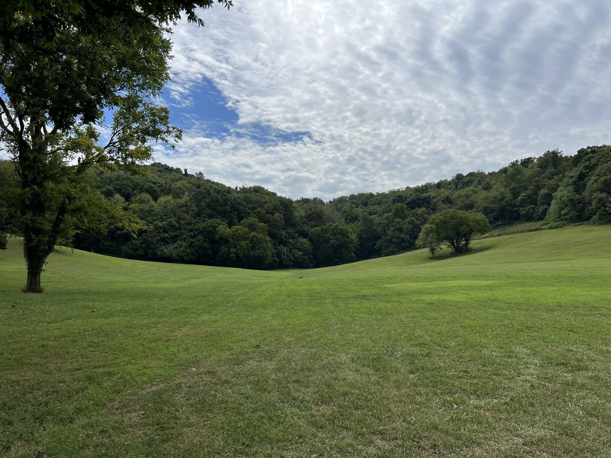 Photo of Listing #3059623