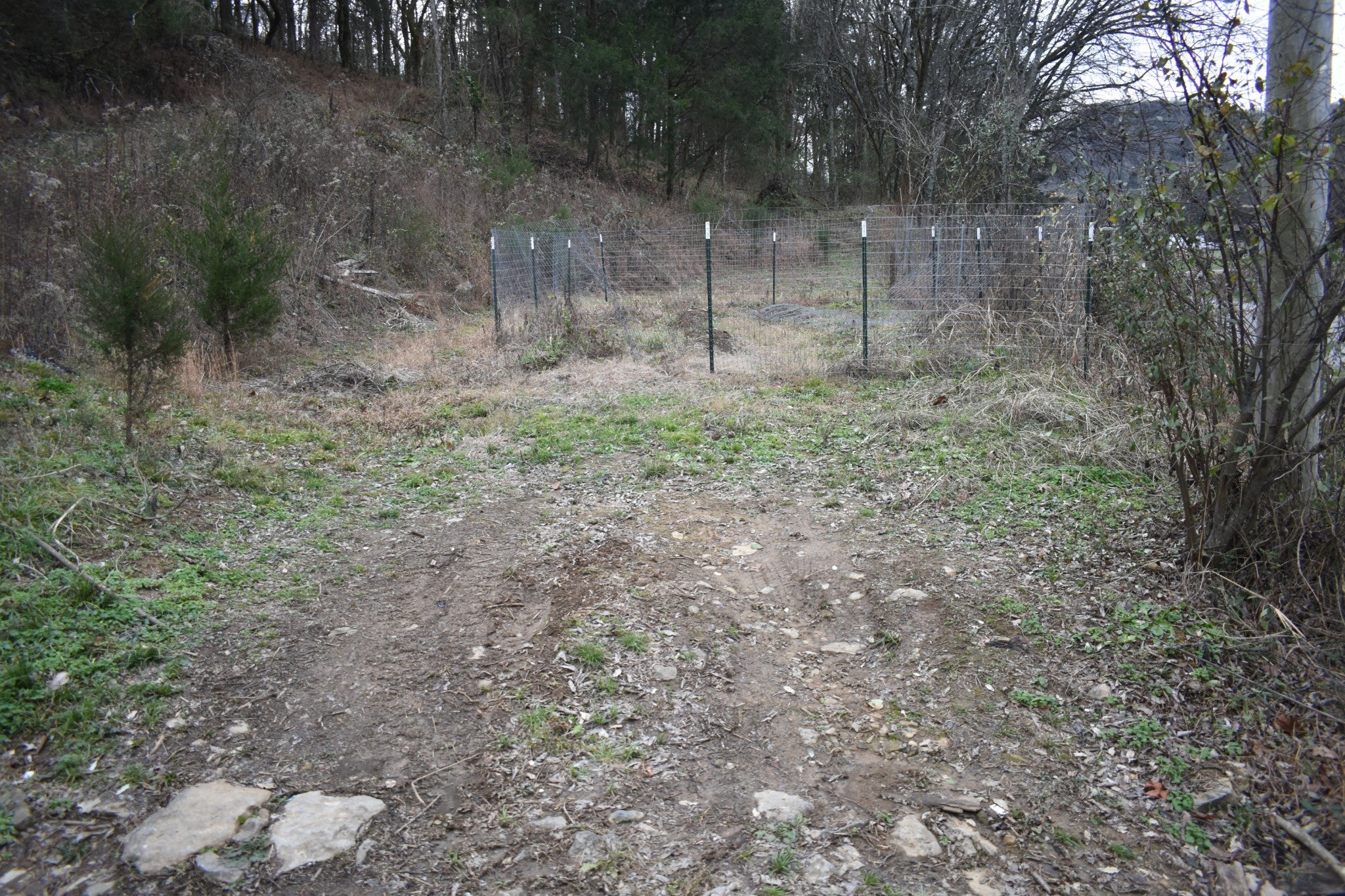 Photo of Listing #3060363