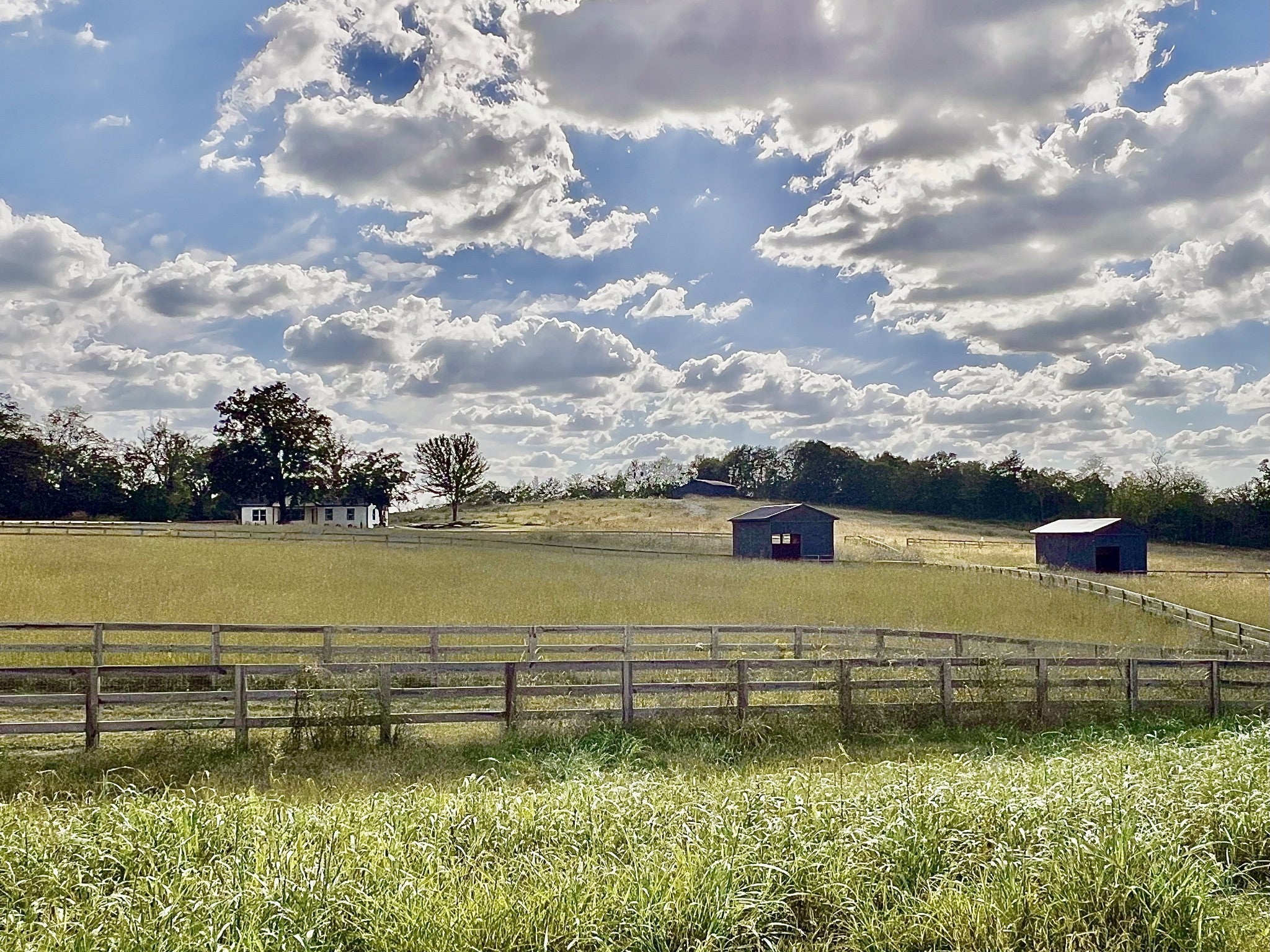 Photo of Listing #3060826