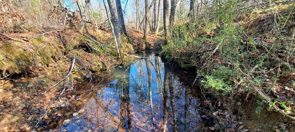 0 Nw Piney Road, Dickson