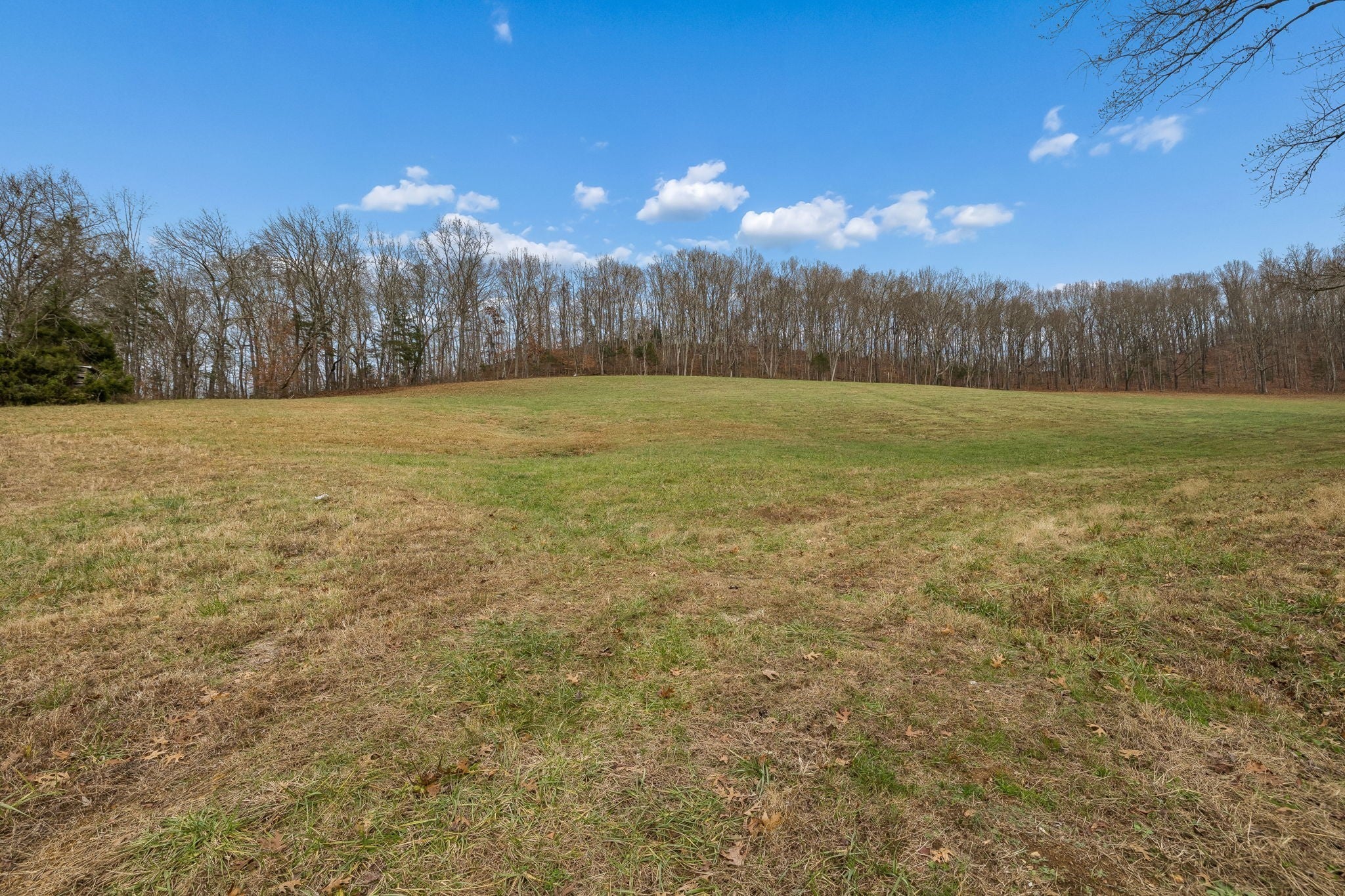 Photo of Listing #3061898