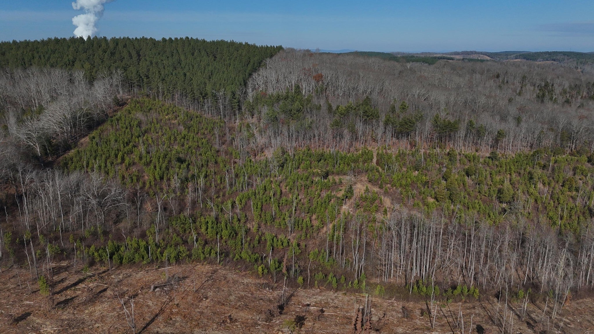 Photo of Listing #3061974