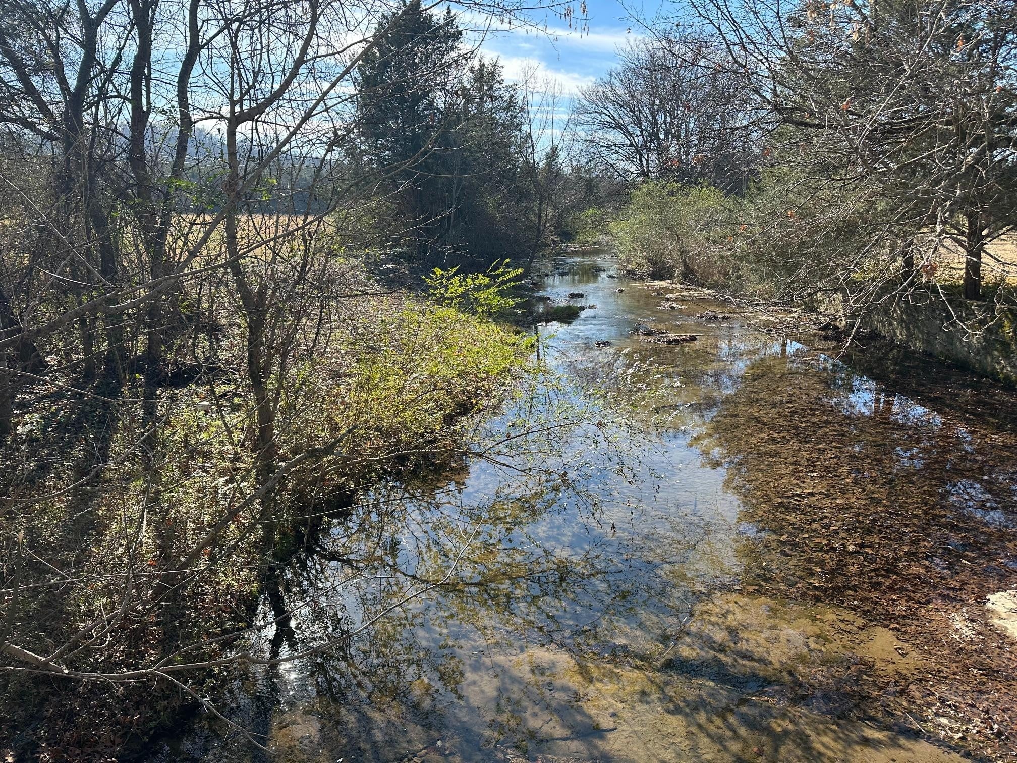 Photo of Listing #3067073