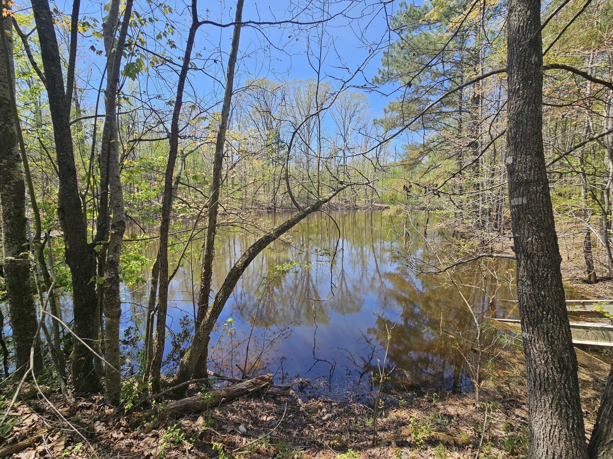 Photo of Listing #3067398