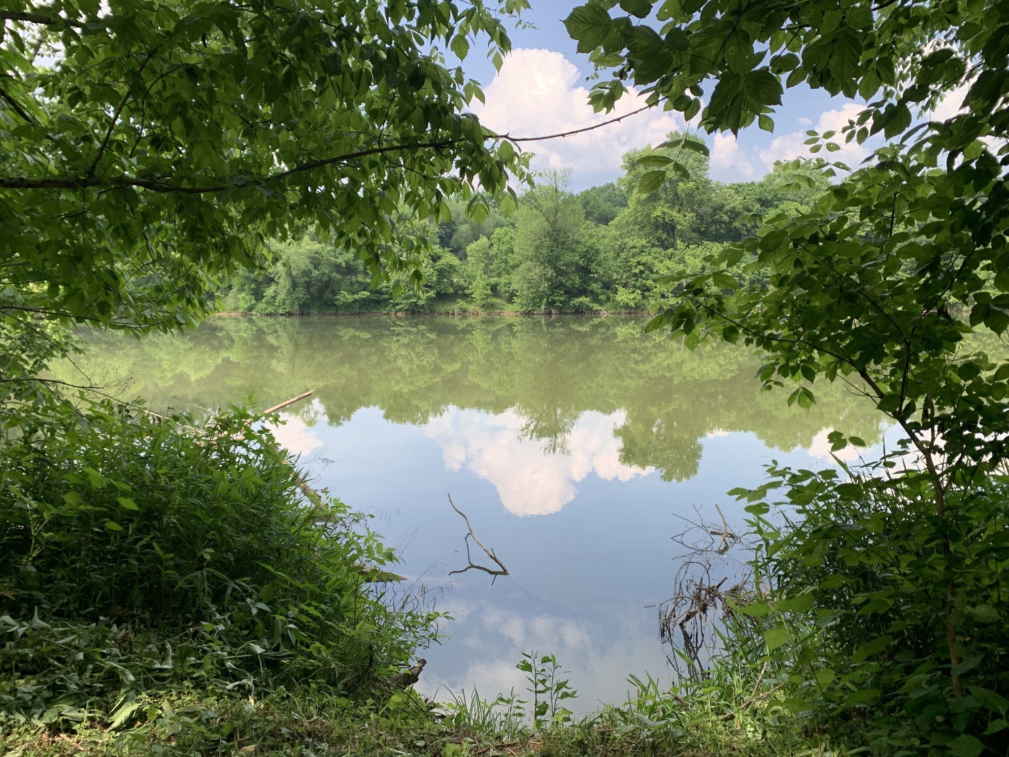 Photo of Listing #3067745