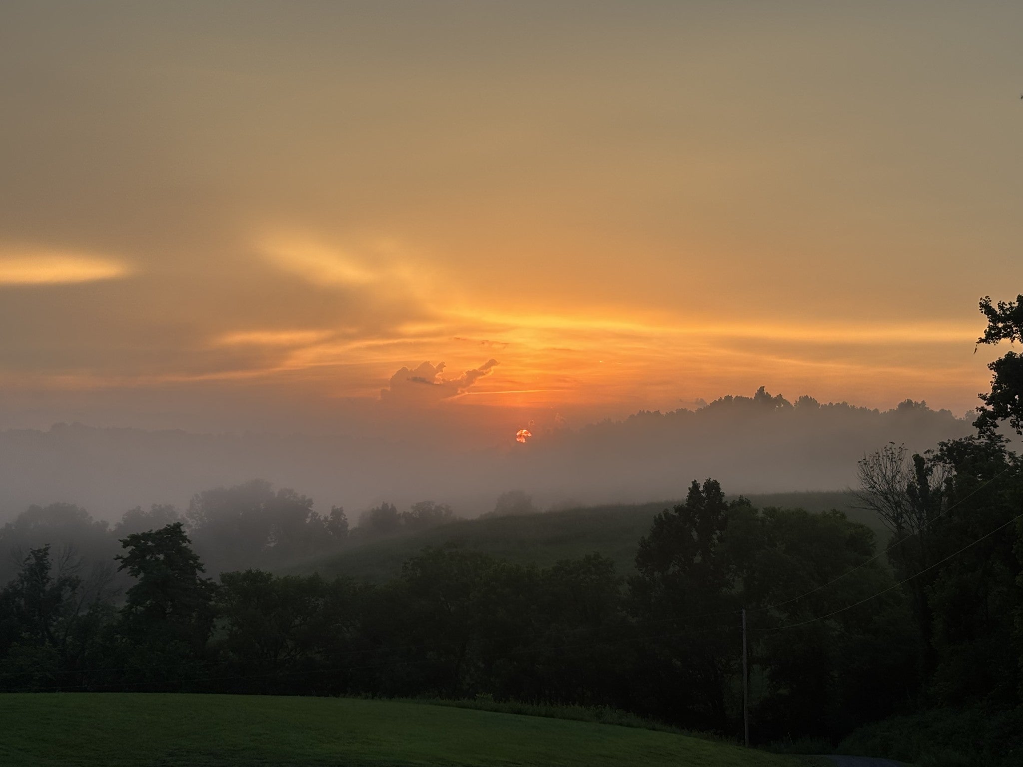 Photo of Listing #3069659