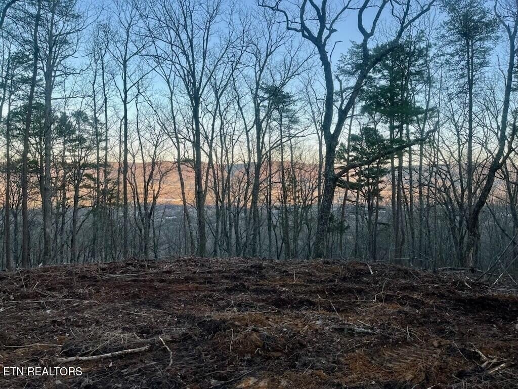 Photo of Listing #3069877