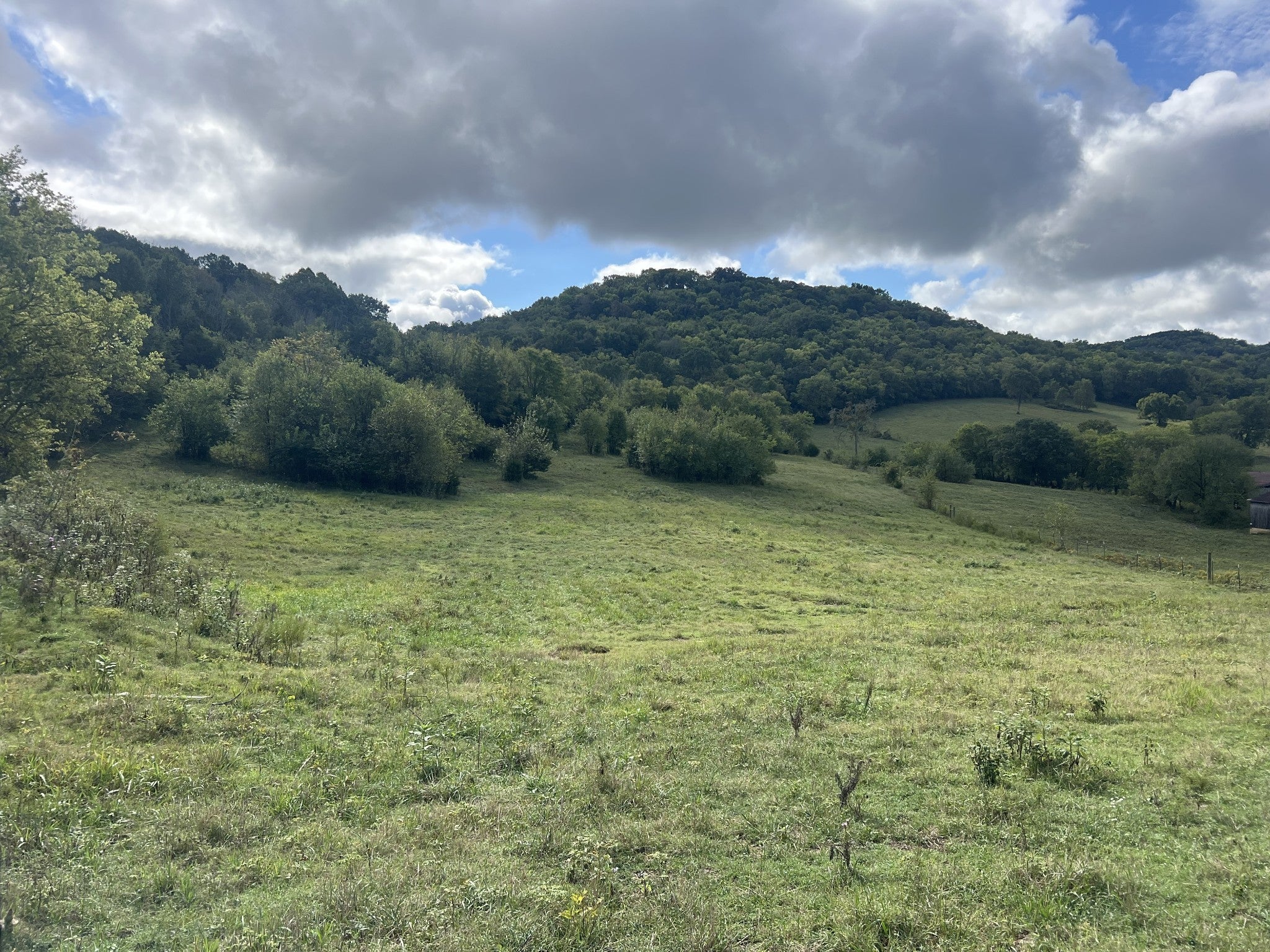 Photo of Listing #3071136