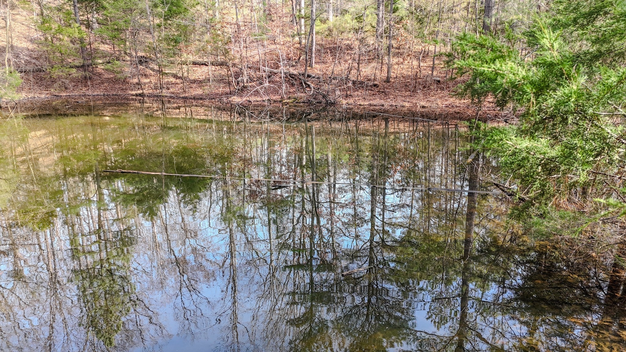 Photo of Listing #3071537