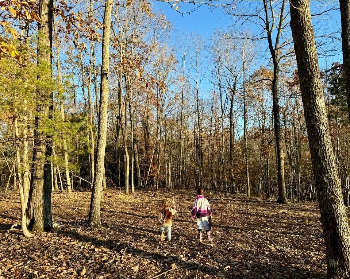 Photo of Listing #3072028