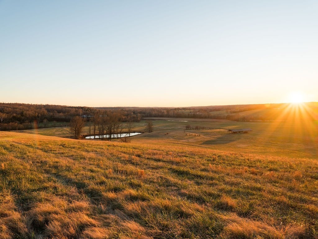 Photo of Listing #3072045