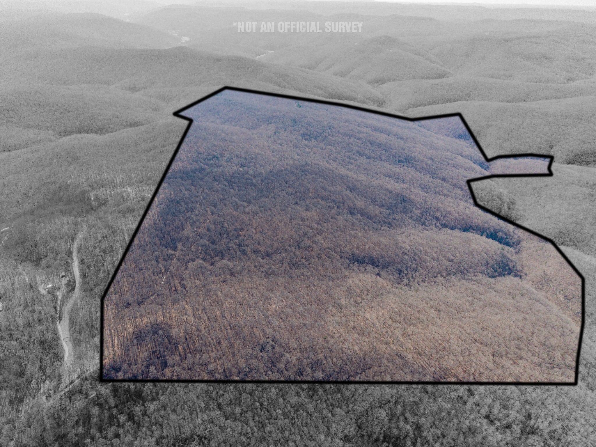 Photo of Listing #3072358