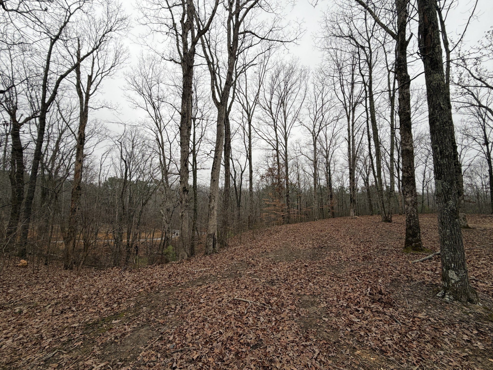 Photo of Listing #3073854