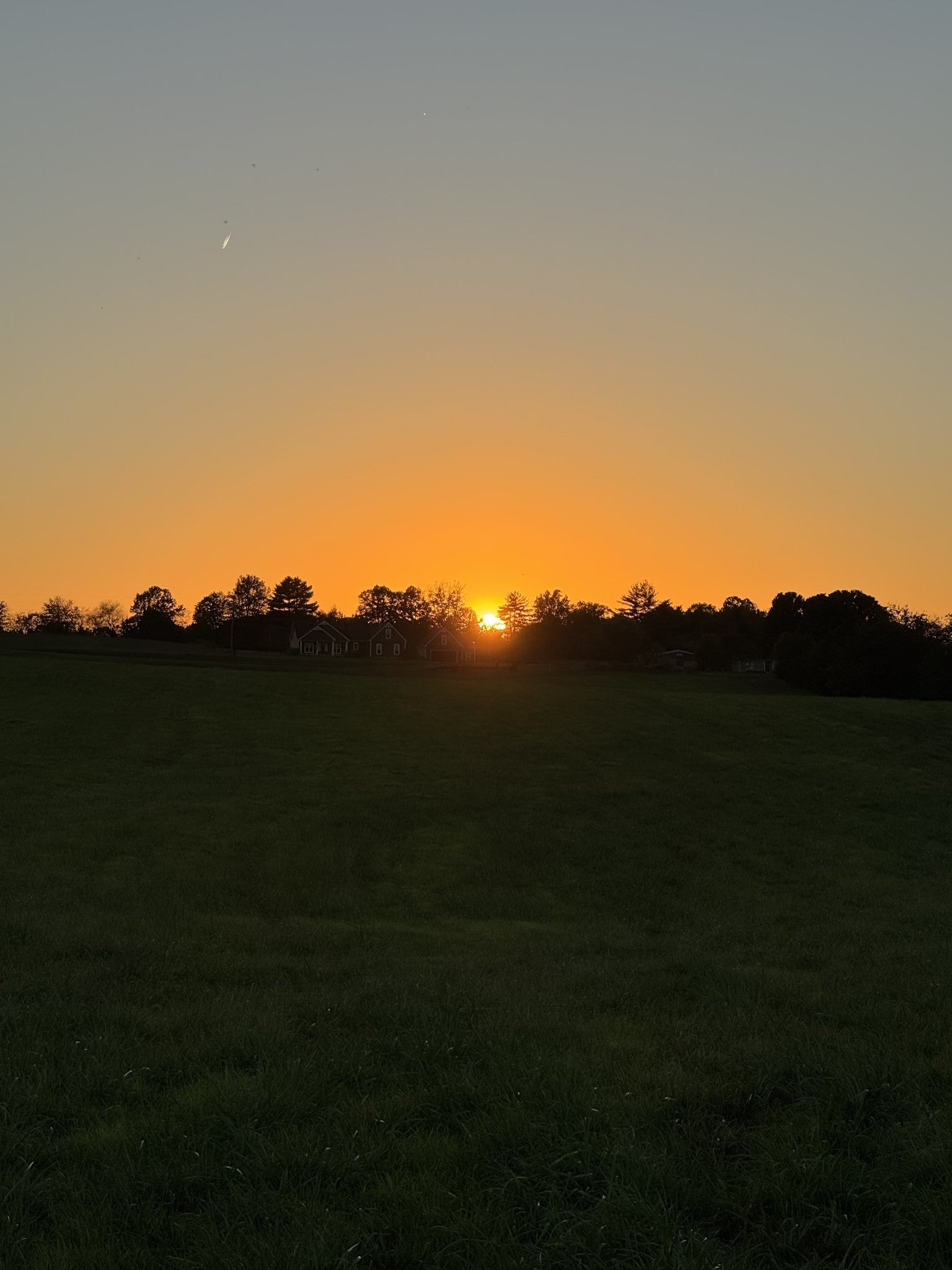 Photo of Listing #3079832