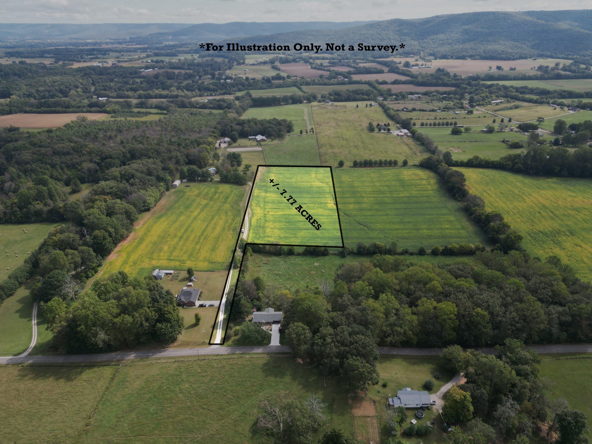 Photo of Listing #3093509