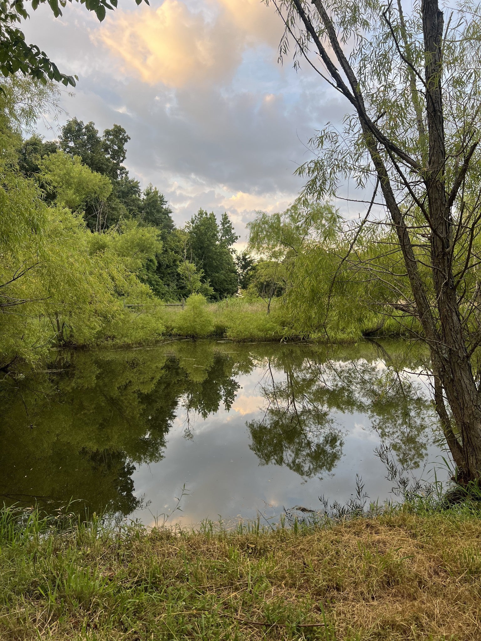 Photo of Listing #3098347