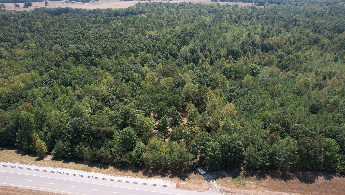 Photo of Listing #3111885