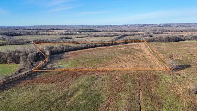 Photo of Listing #3111900