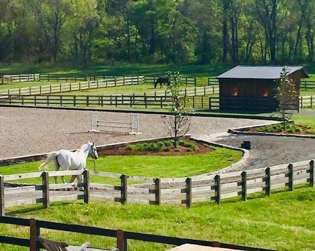 Photo of Listing #3112224