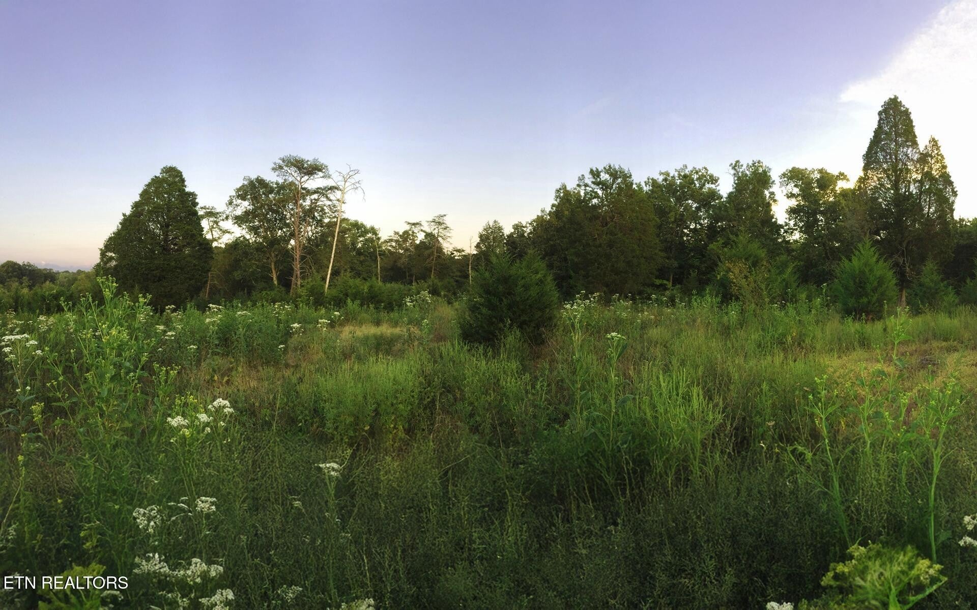 Photo of Listing #3113095