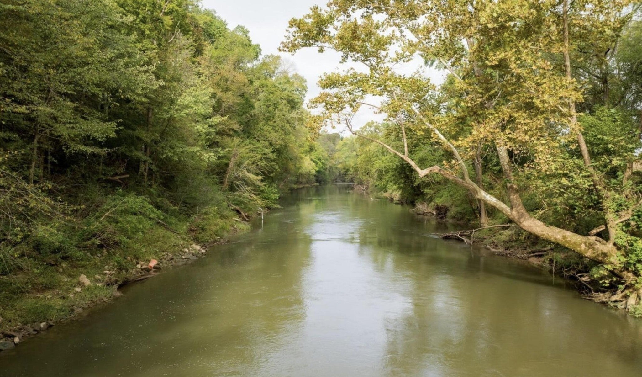 Photo of Listing #3117404