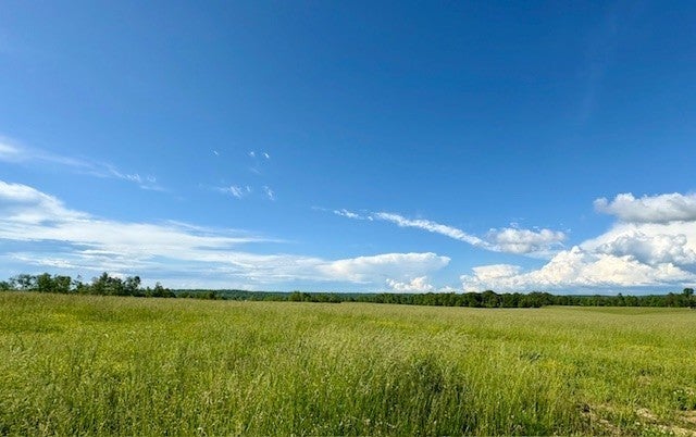 Photo of Listing #3118183