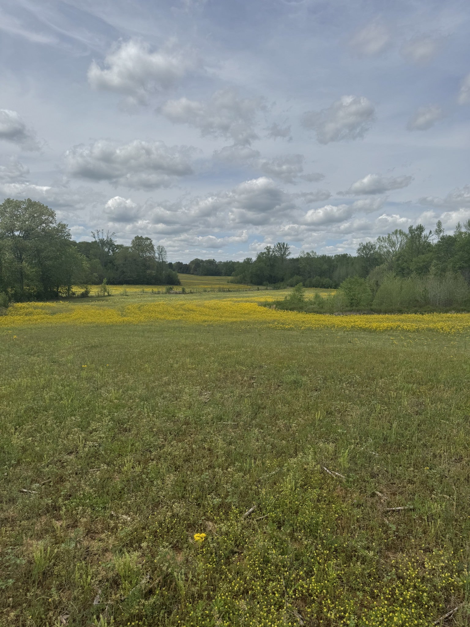 Photo of Listing #3118311