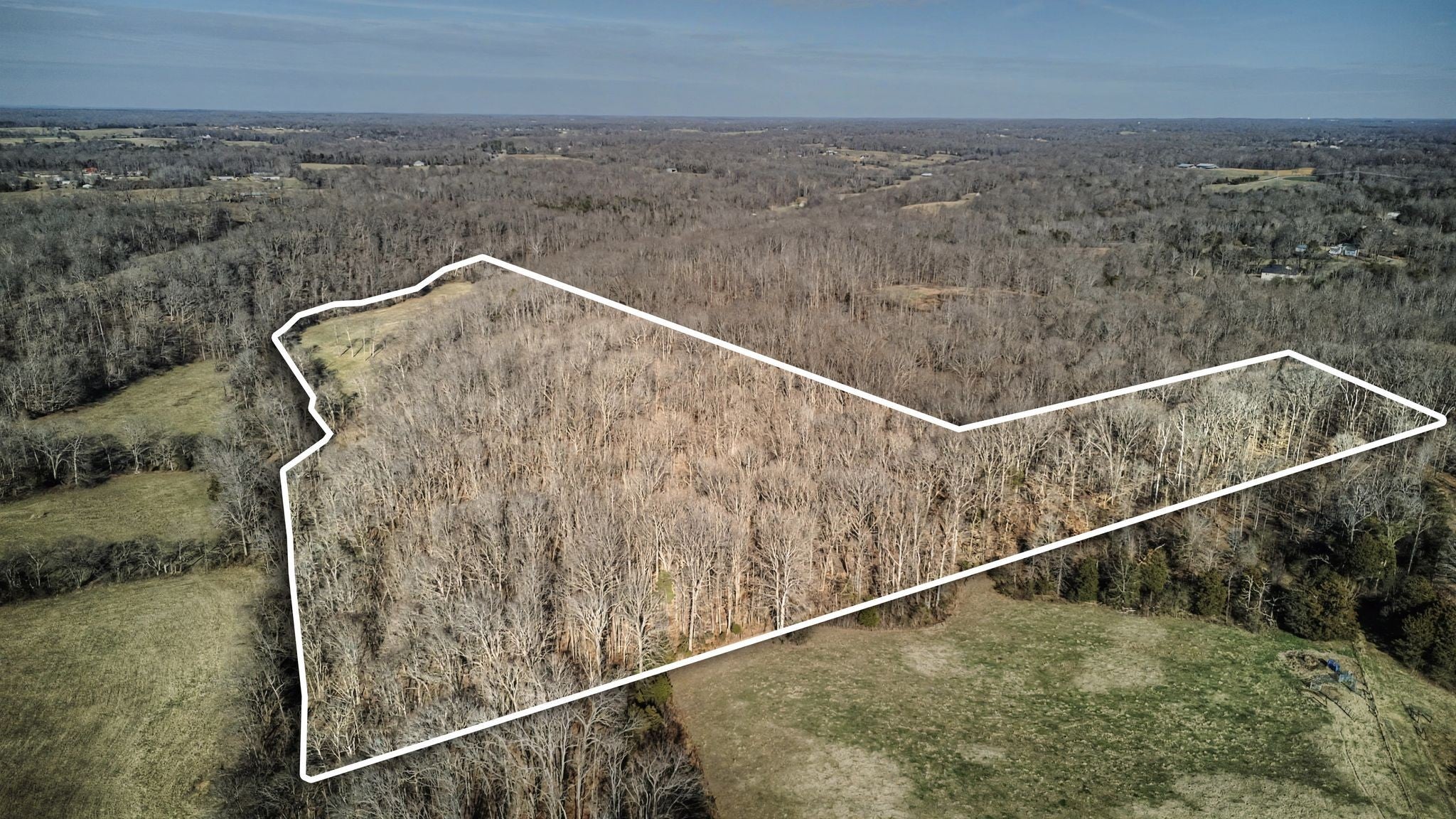 Photo of Listing #3118923