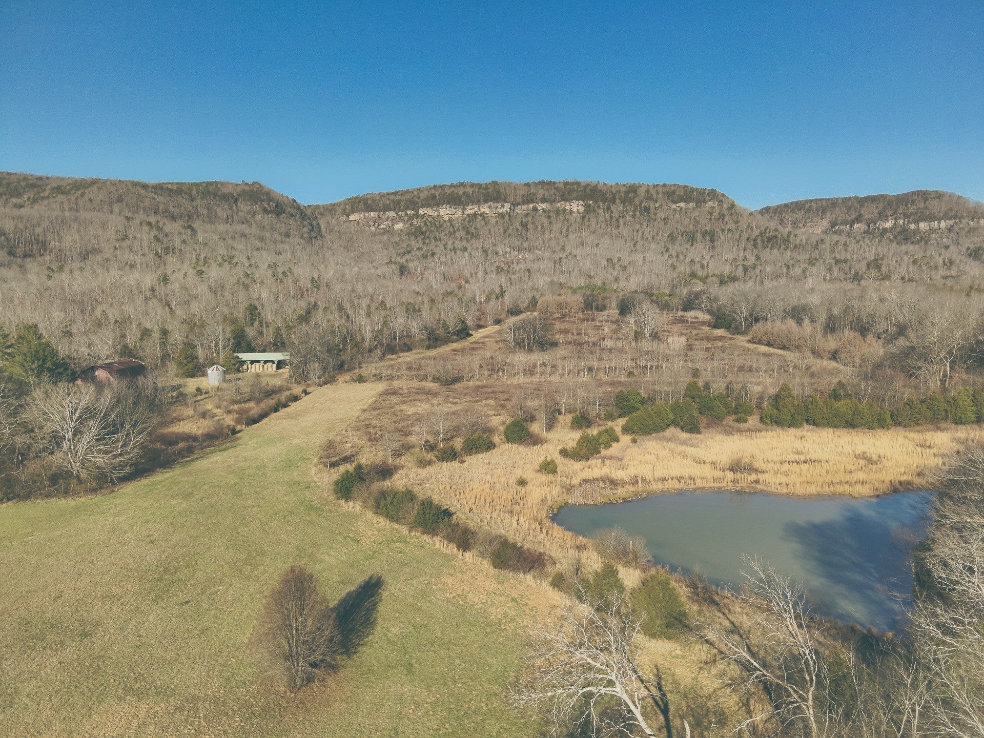 Photo of Listing #3122060