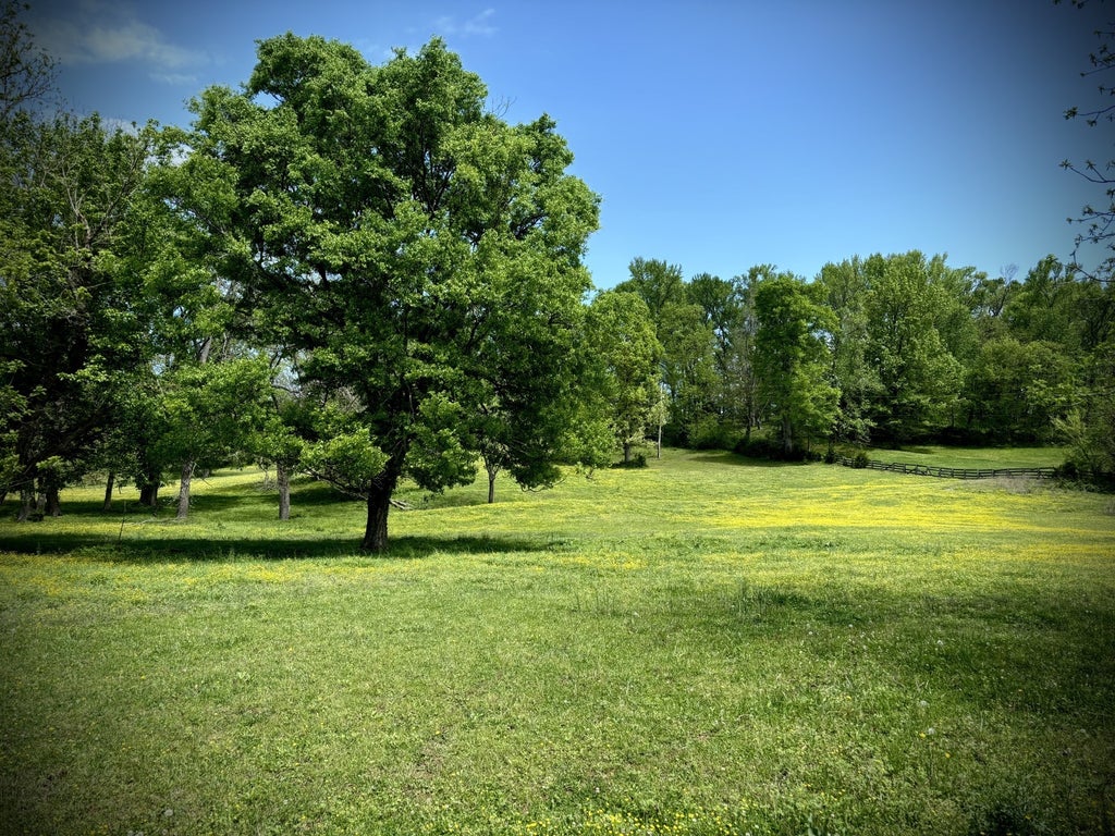 6628 Bethesda Arno Rd, Thompsons Station