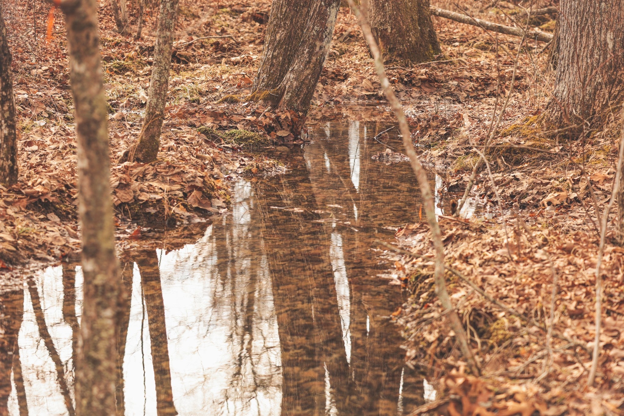 Photo of Listing #3123669