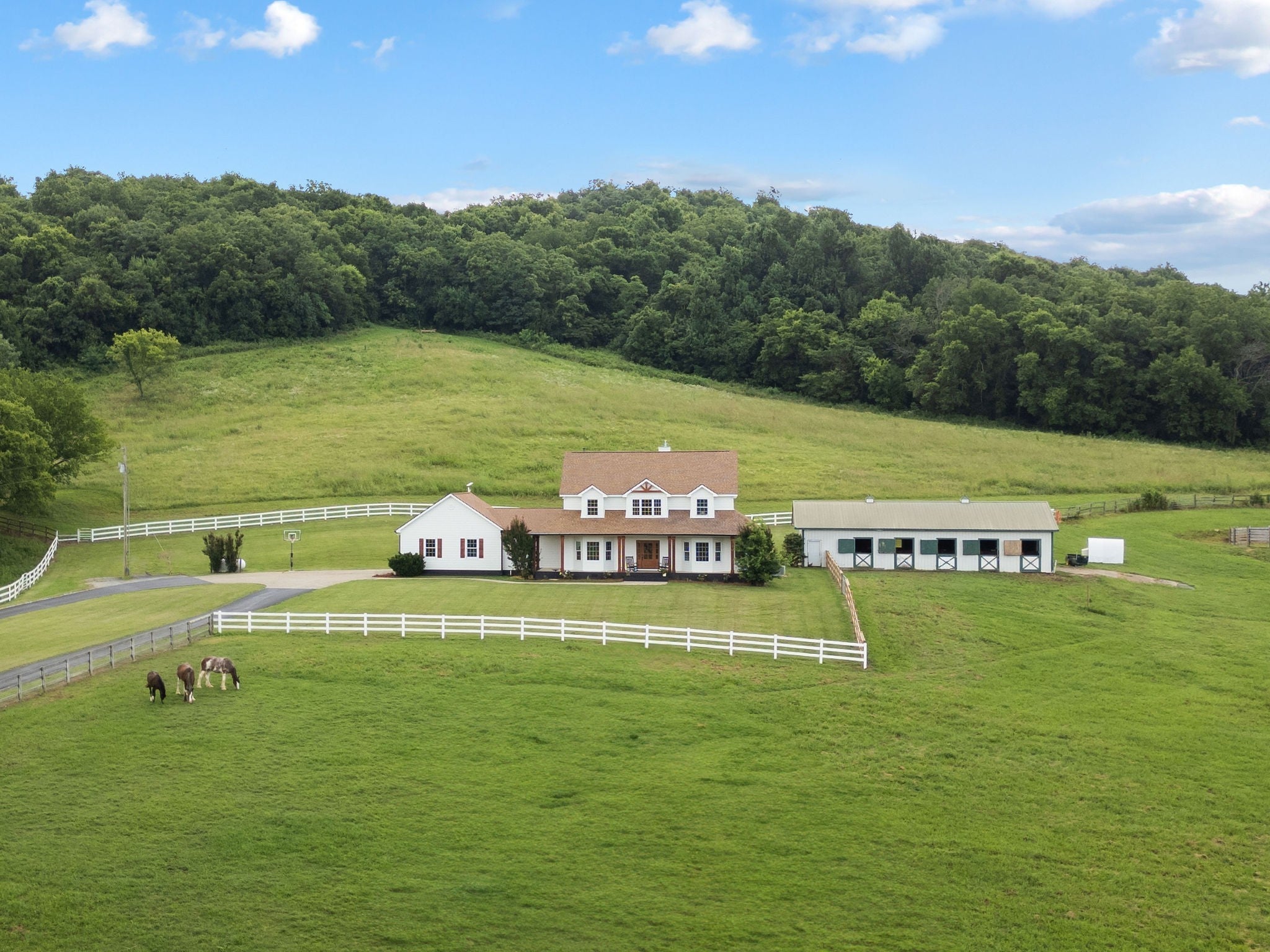 Photo of Listing #3129239