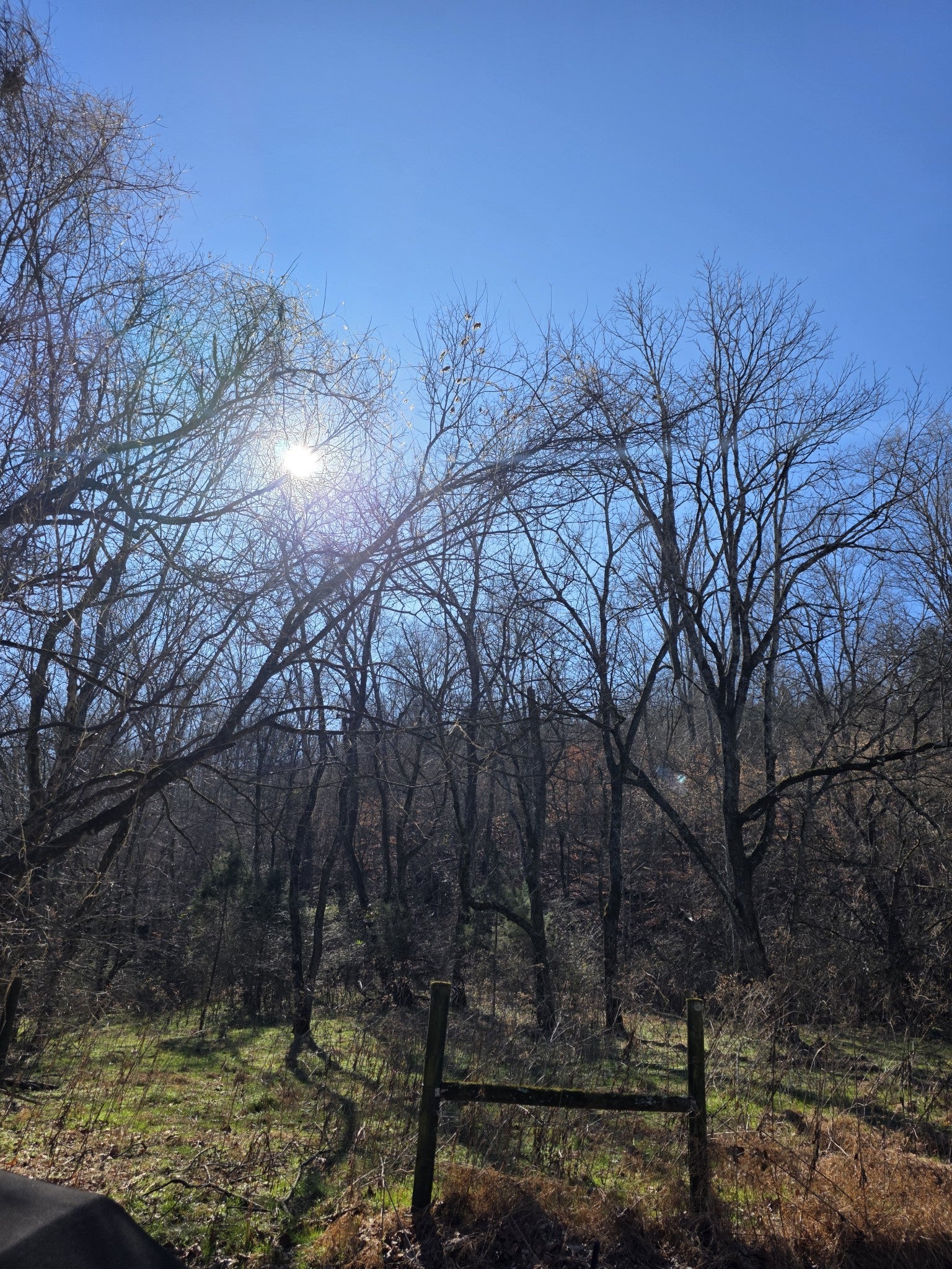 Photo of Listing #3129375