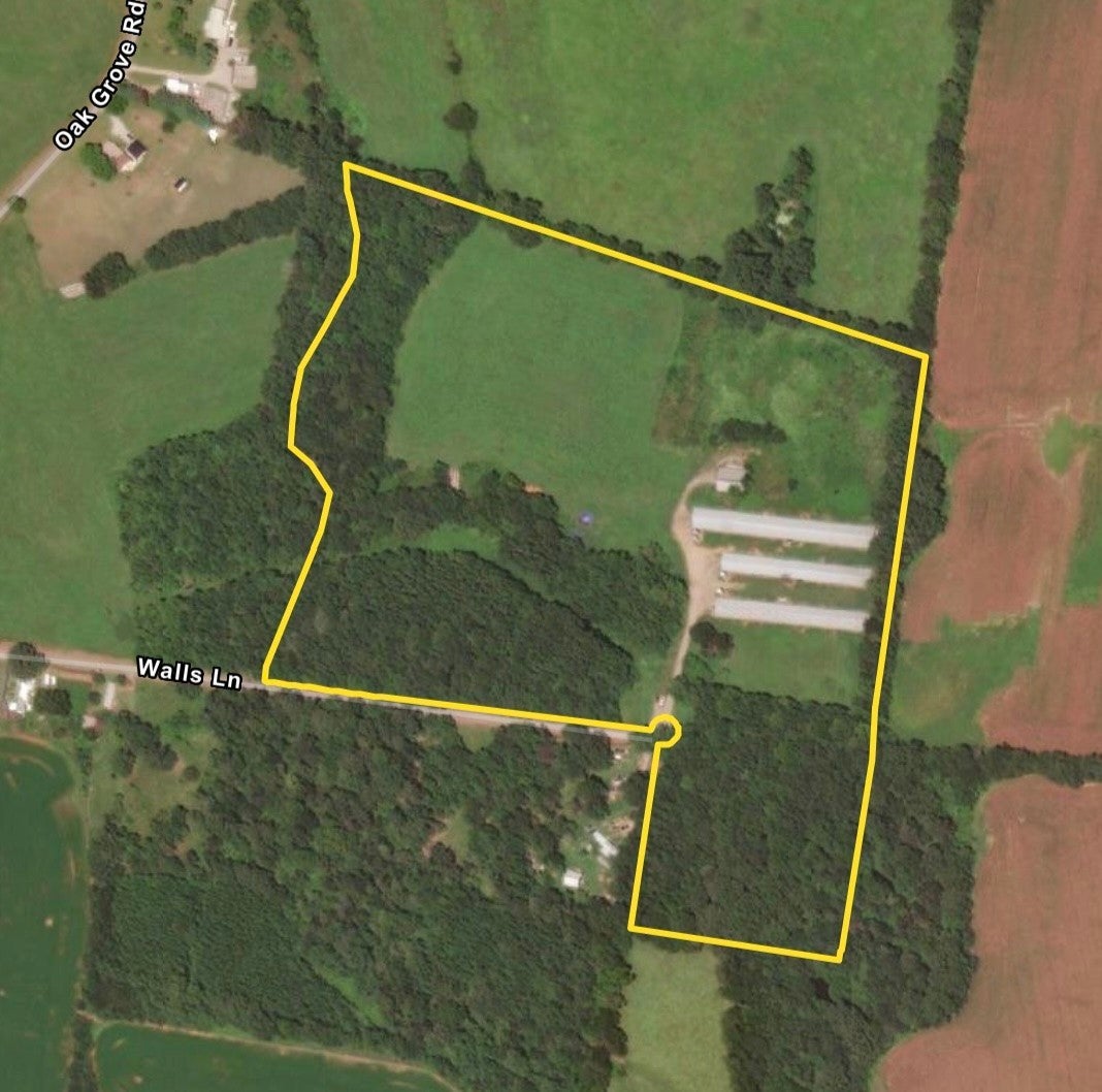 Photo of Listing #3131014