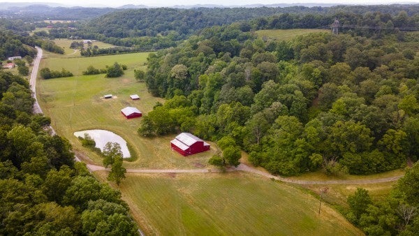 Photo of Listing #3132250