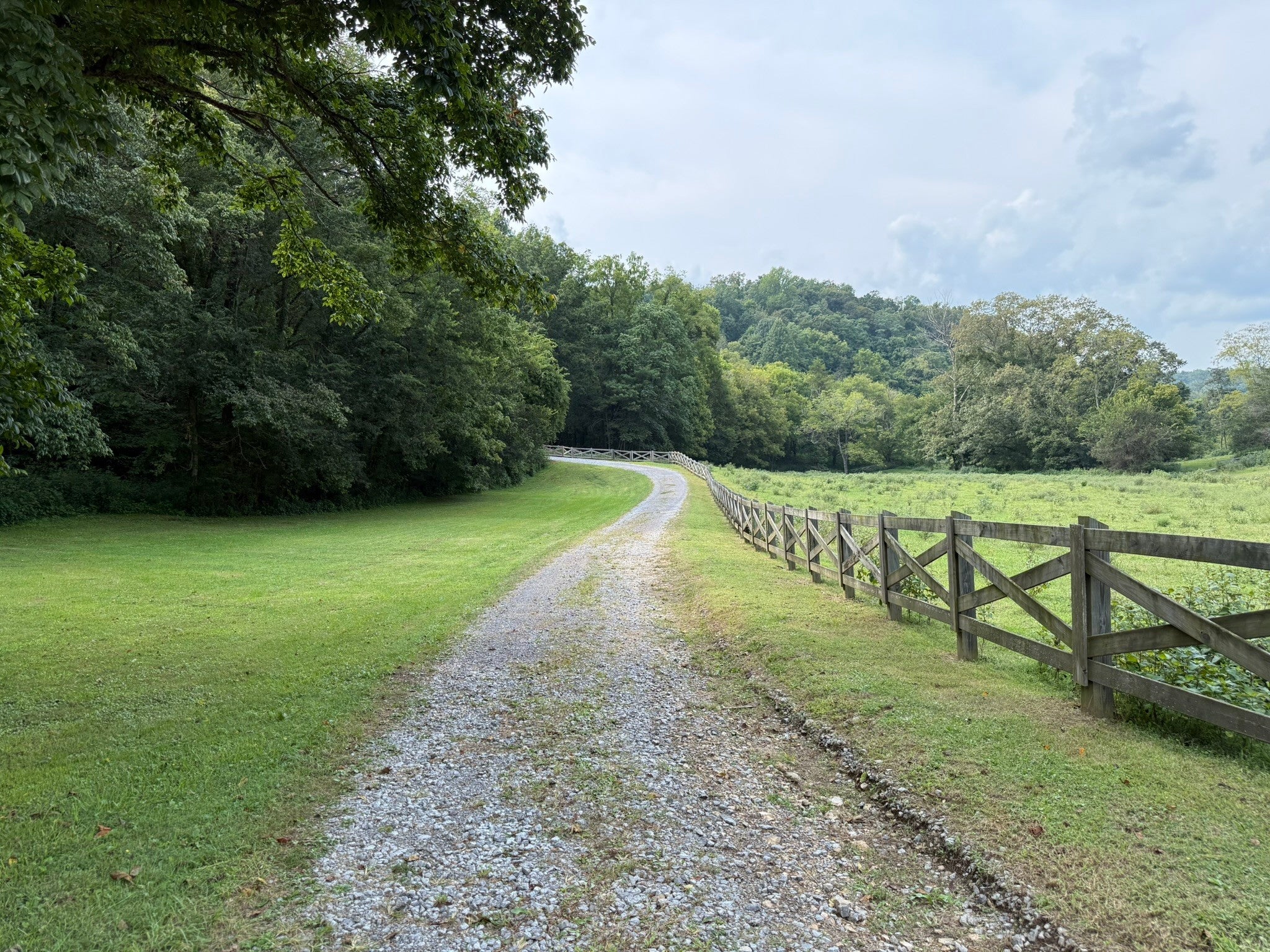 Photo of Listing #3132463