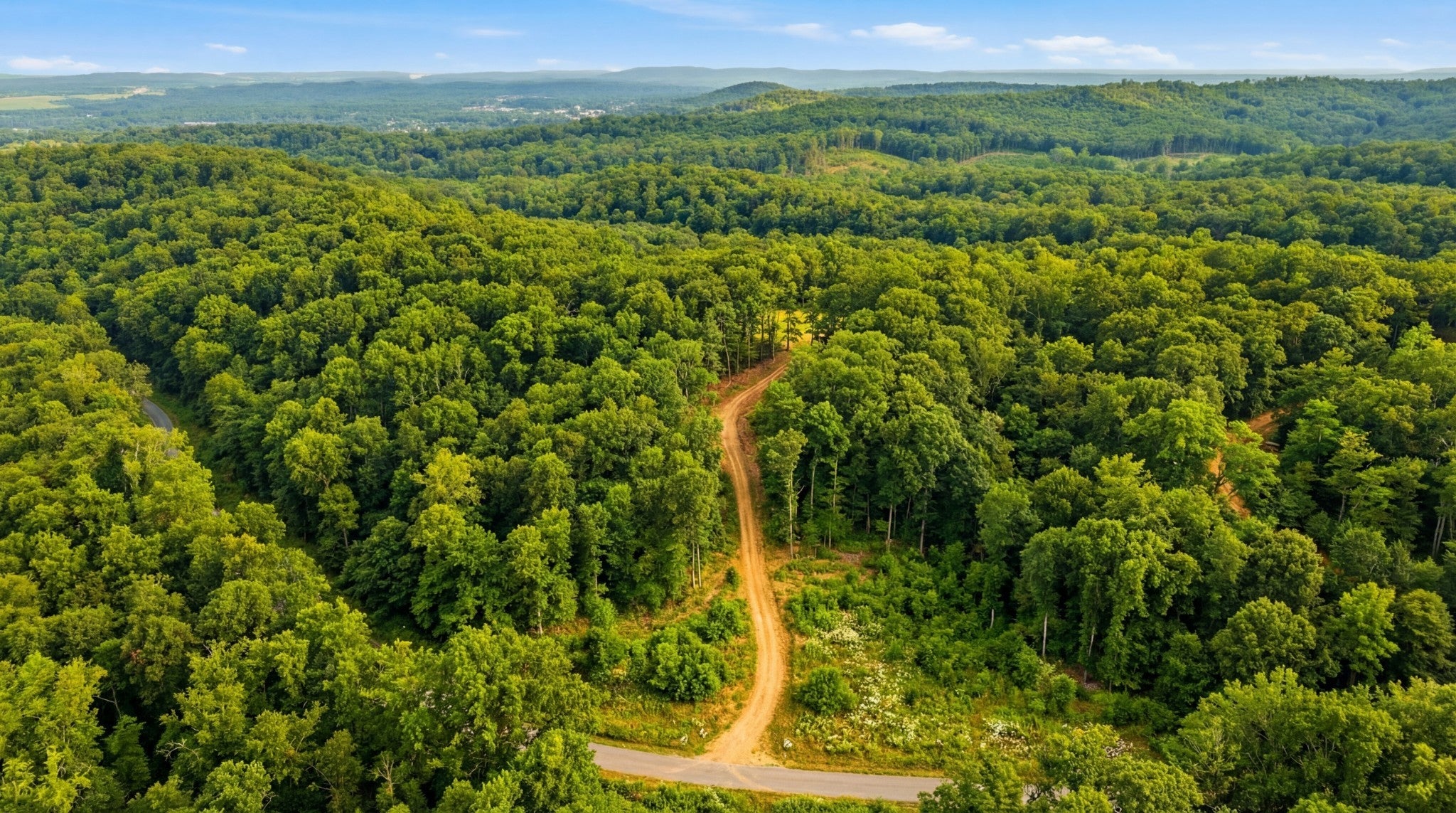 Photo of Listing #3132514