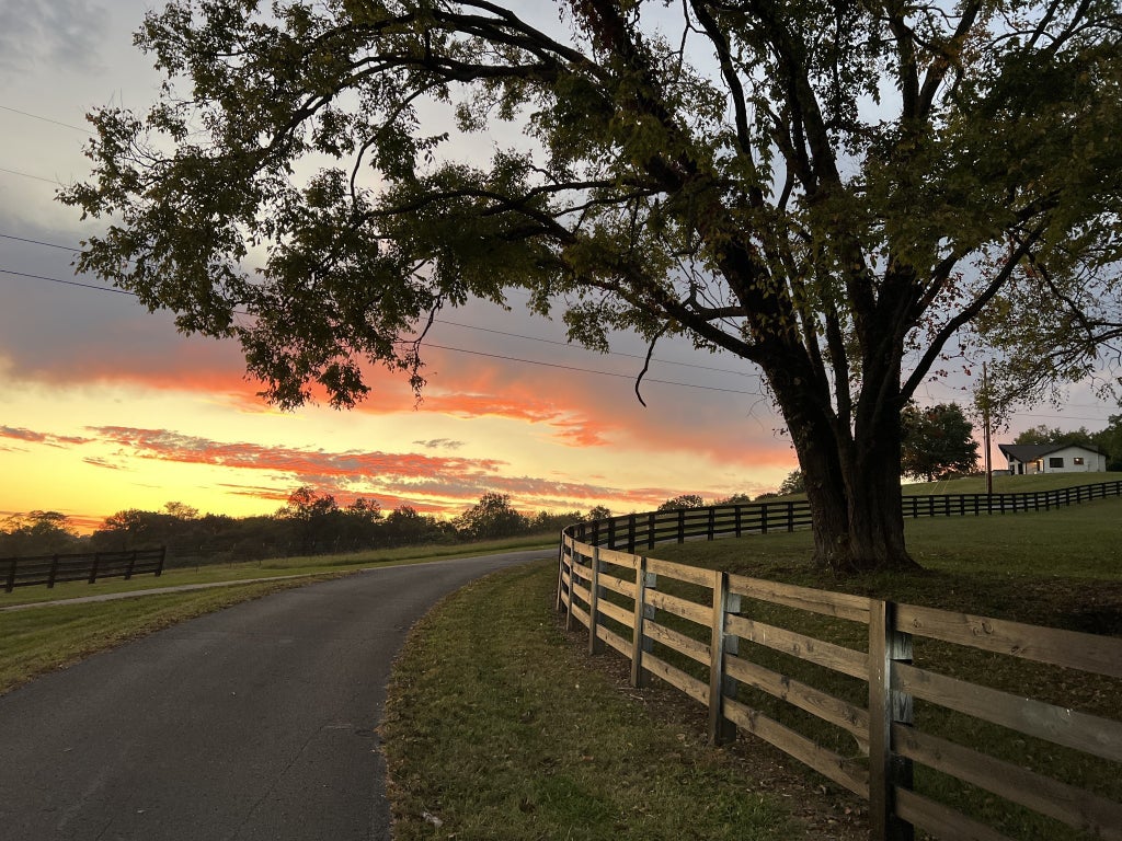 2202 Darks Mill Rd, Columbia