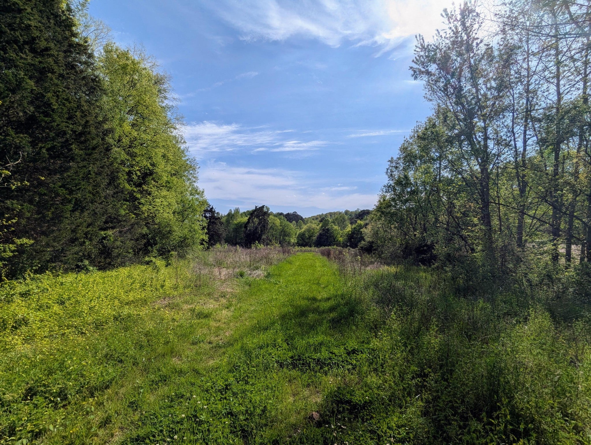 Photo of Listing #3135221