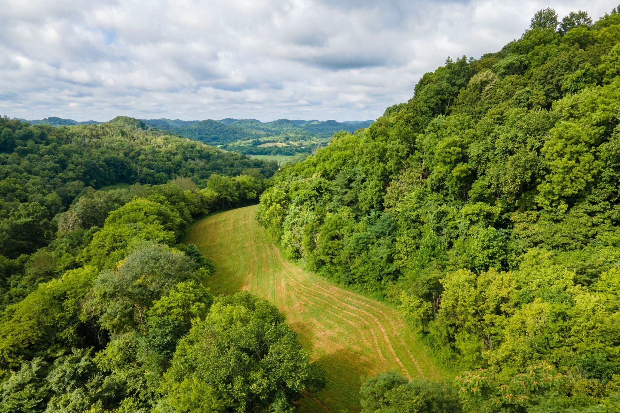 Photo of Listing #3135482