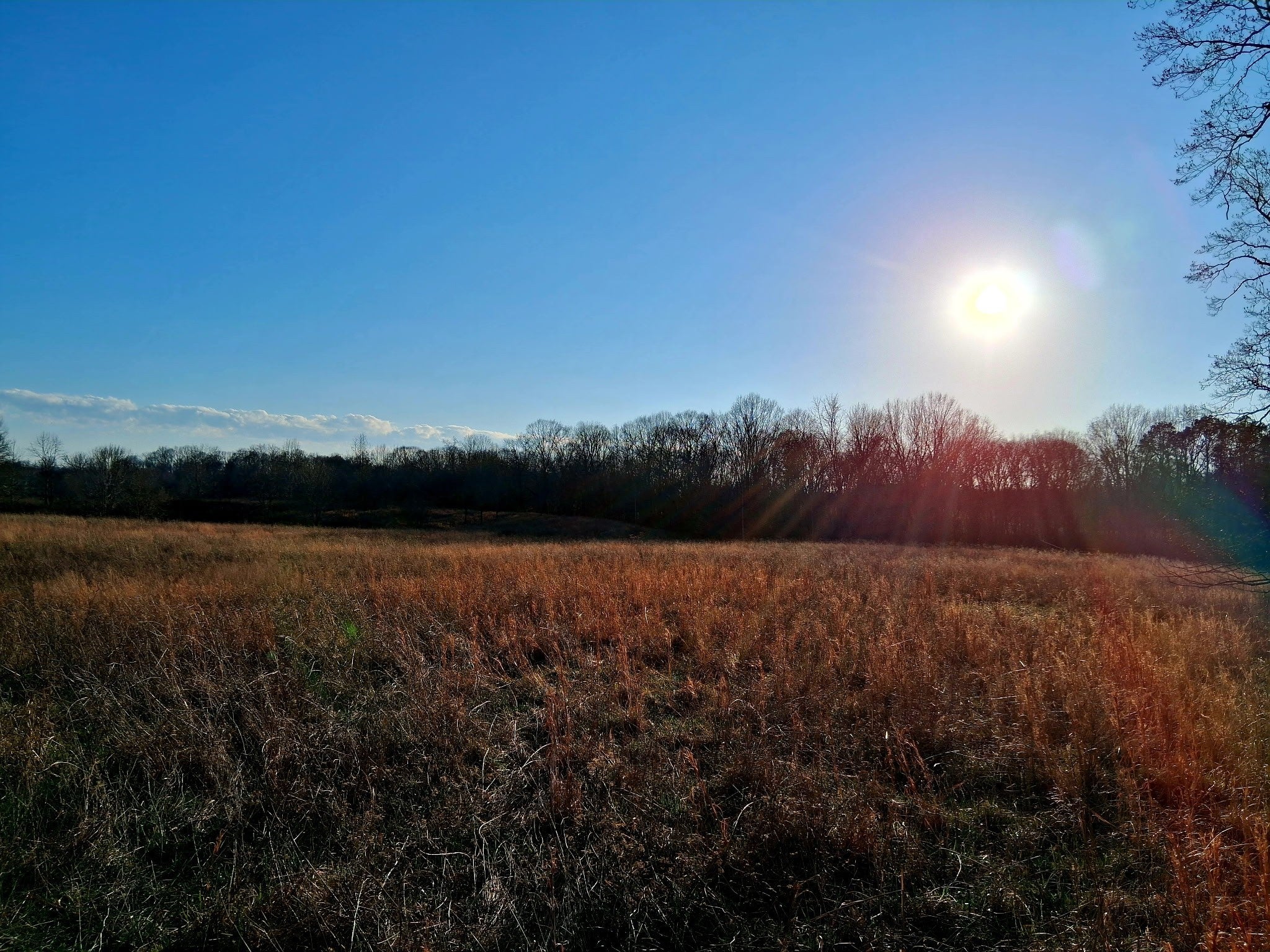 Photo of Listing #3136514