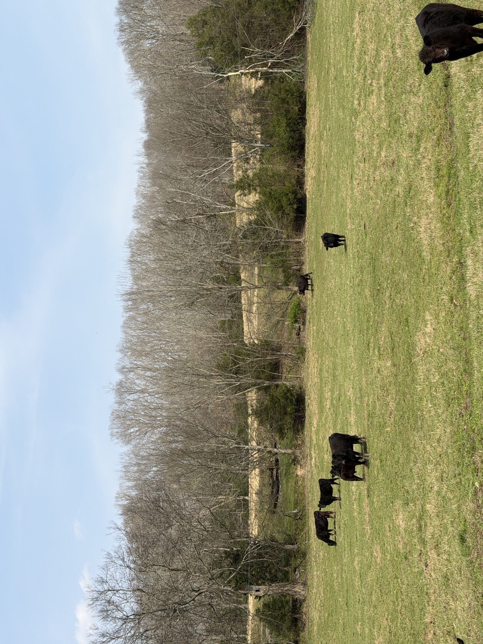 Photo of Listing #3137821