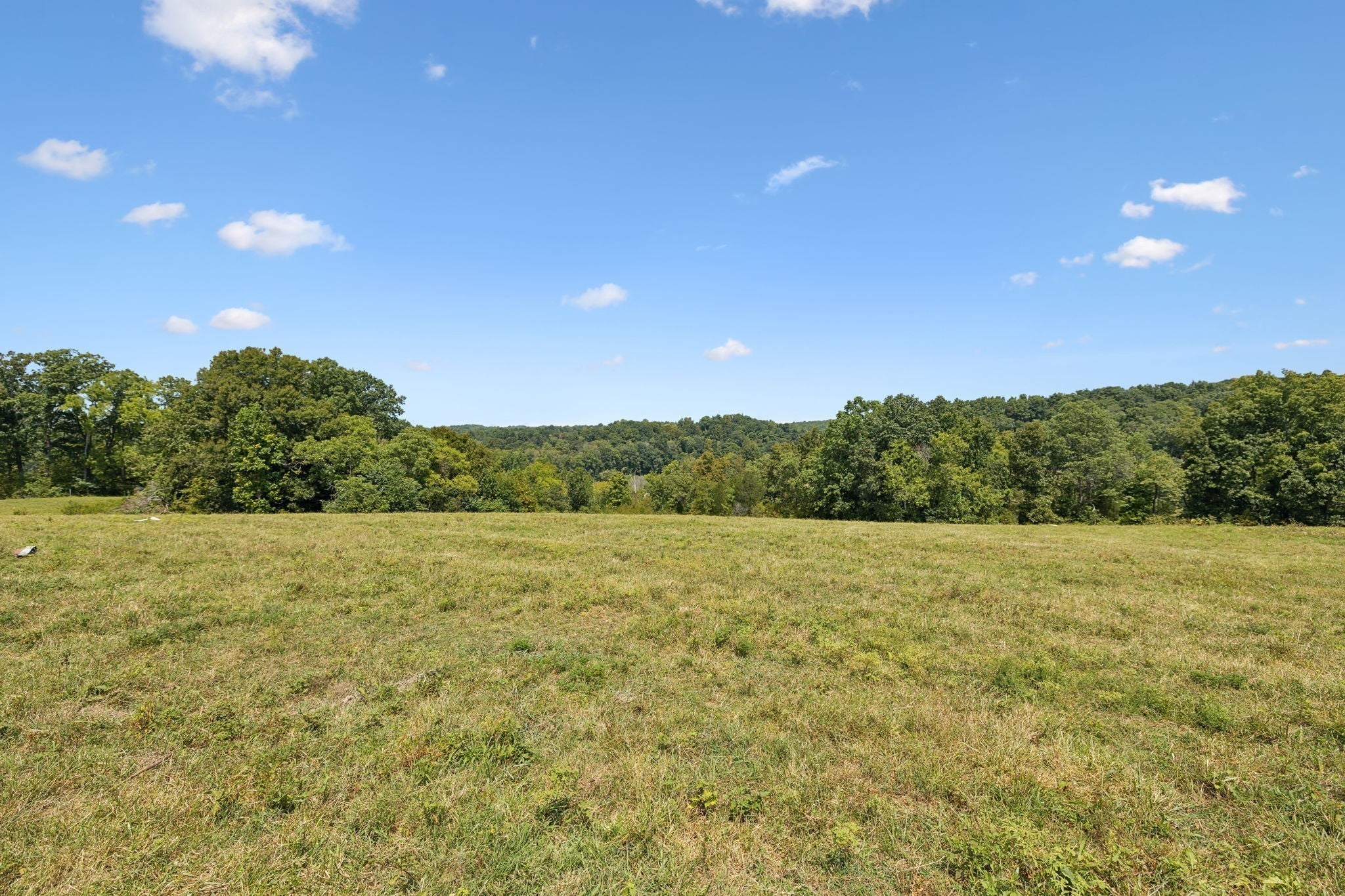 Photo of Listing #3137821