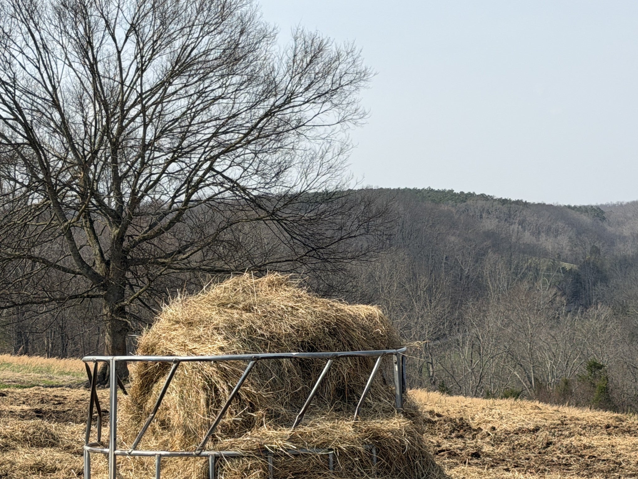 Photo of Listing #3137824