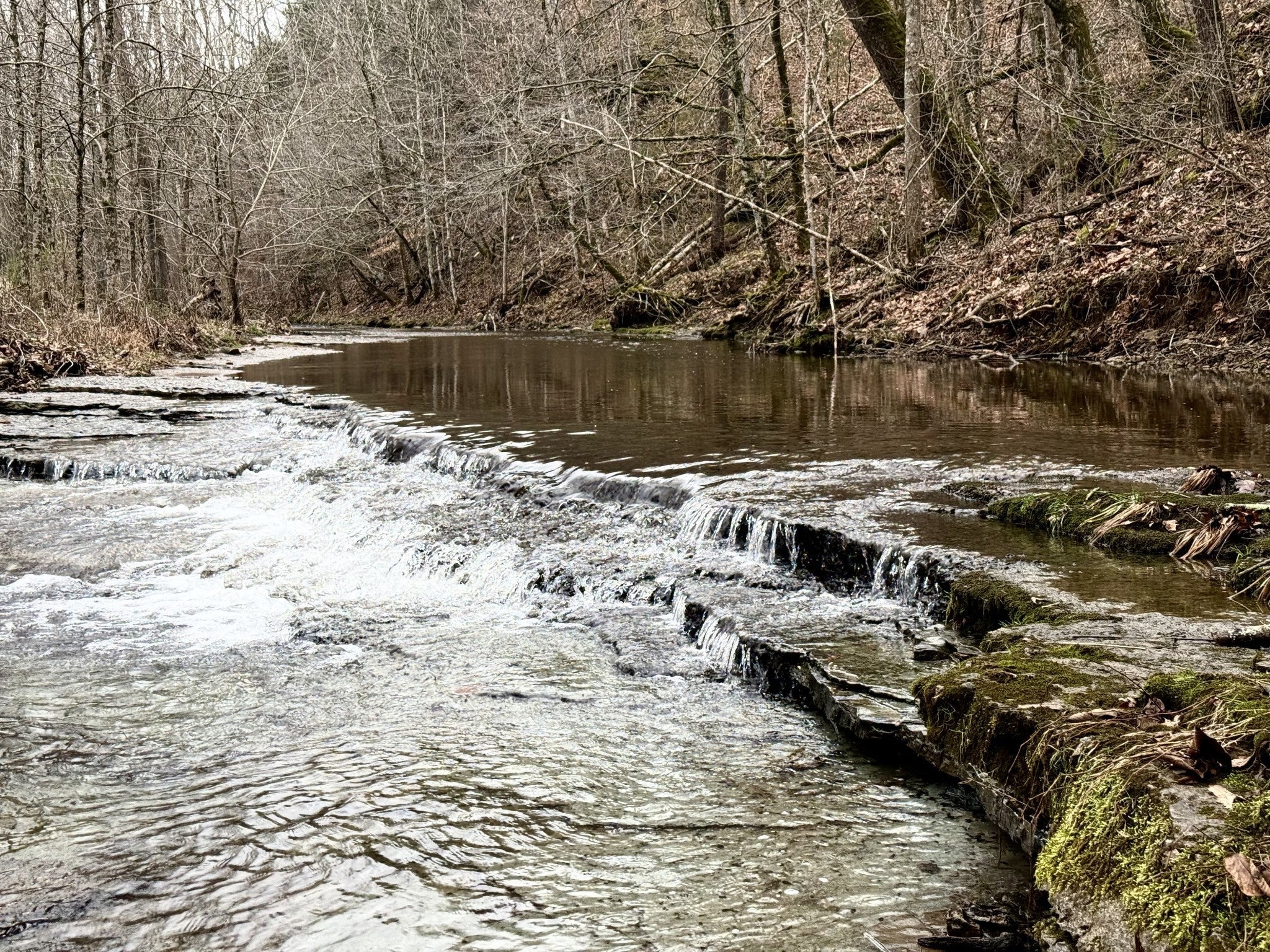 Photo of Listing #3137824