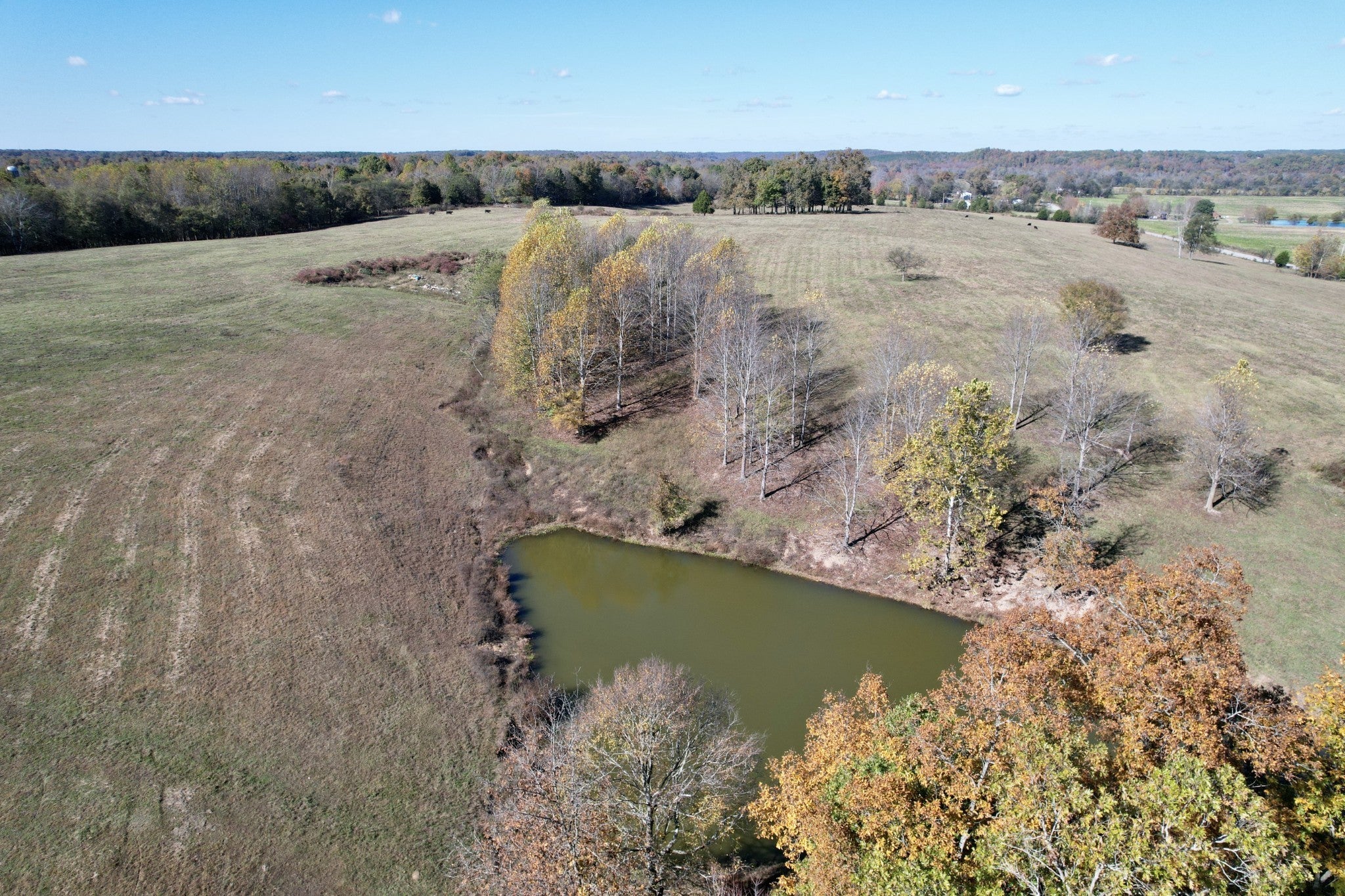 Photo of Listing #3137926