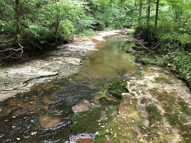 Photo of Listing #3138968