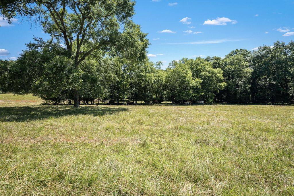 505 Philippi Rd, Wartrace