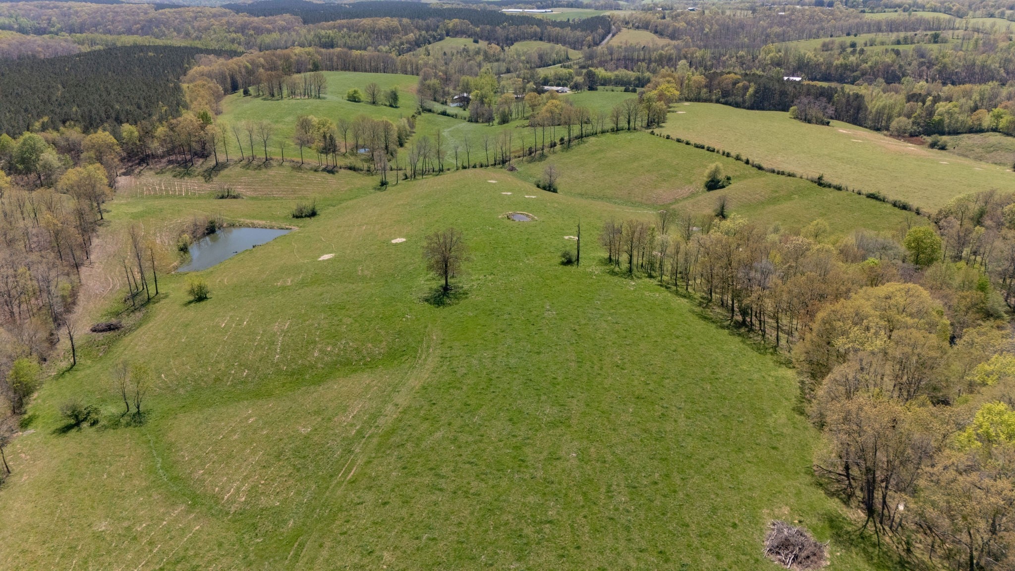 Photo of Listing #3149492